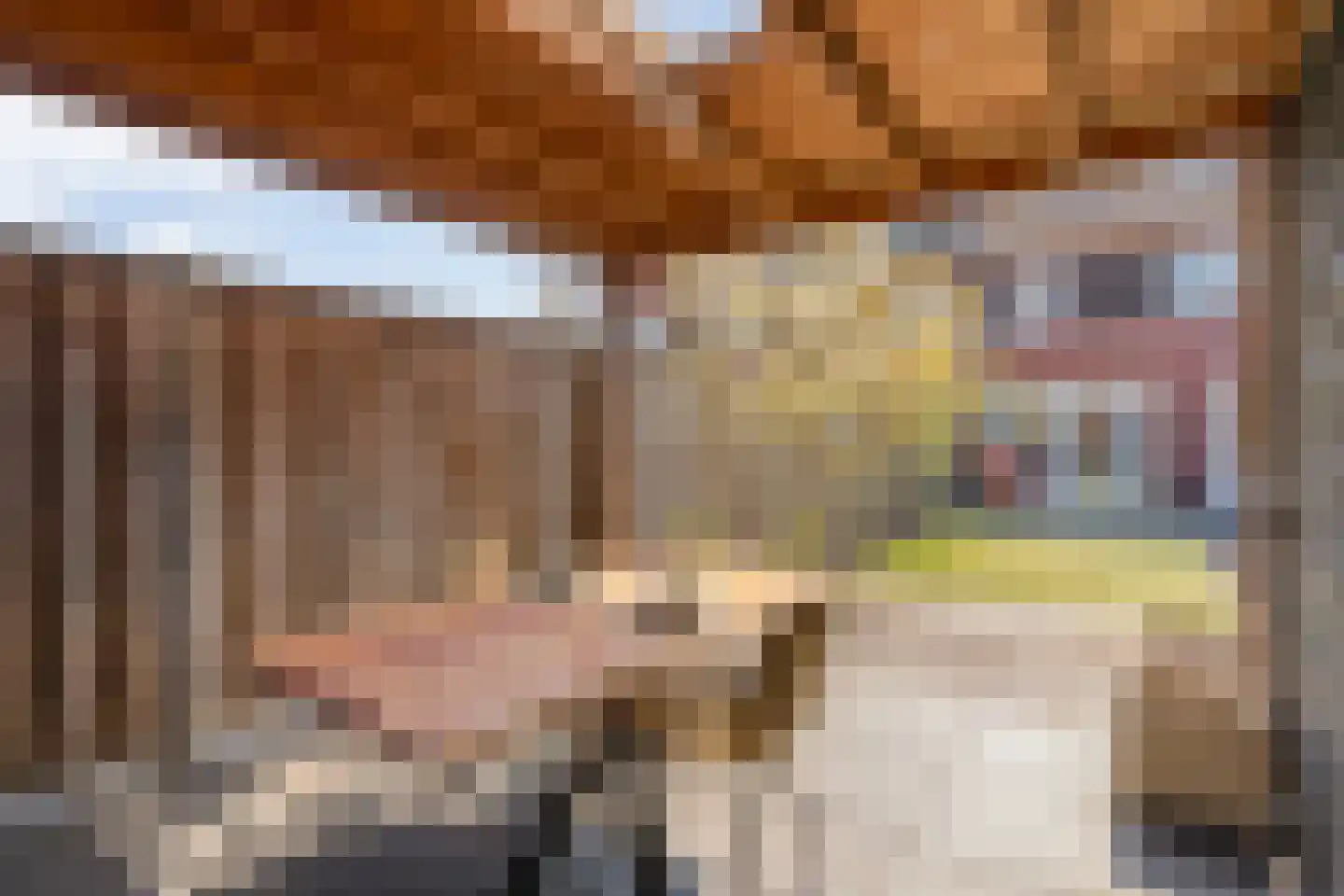 Rappersweg 43 Almelo thumbnail 27