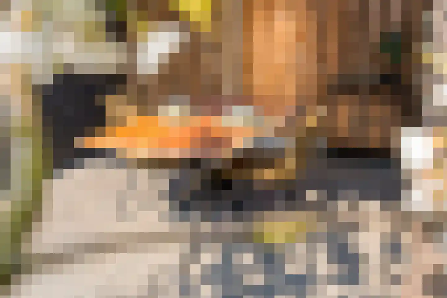 Rappersweg 43 Almelo thumbnail 28