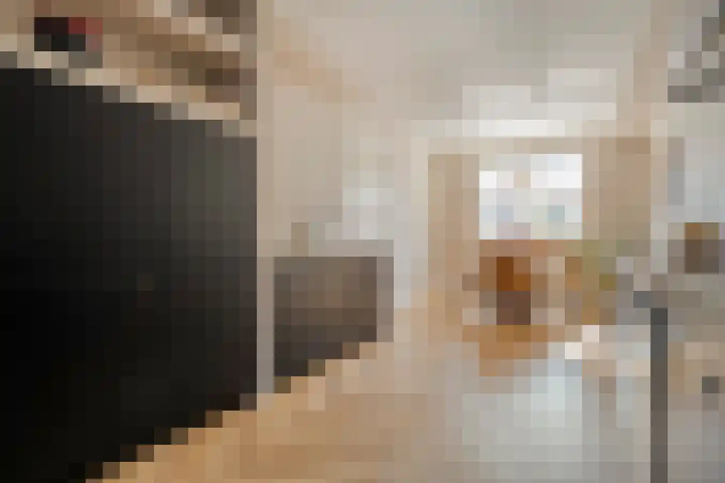 Rappersweg 43 Almelo thumbnail 9