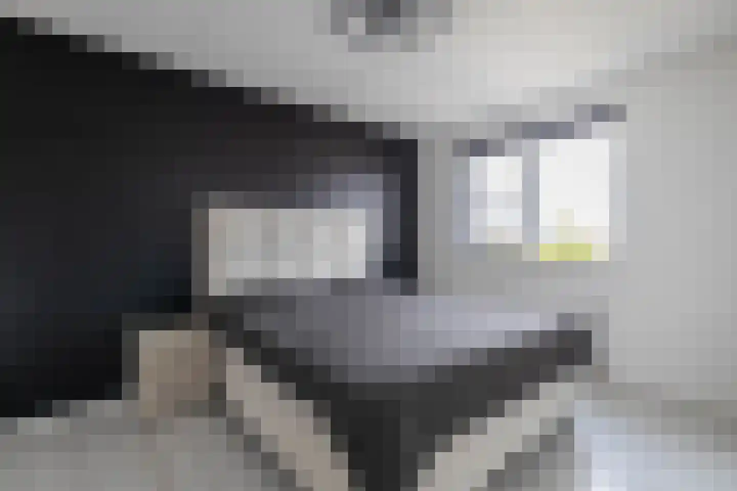 Rappersweg 53 Almelo thumbnail 14