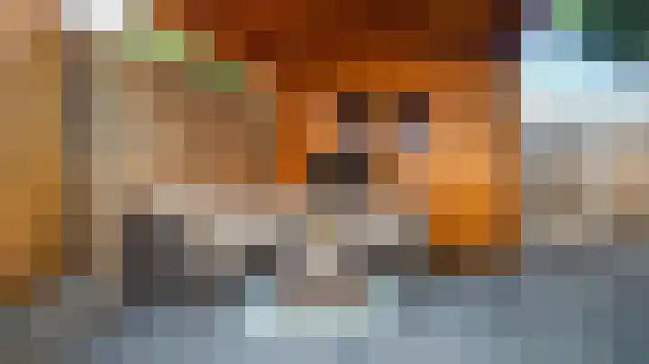 Rappersweg 55 Almelo thumbnail 31