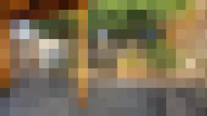 Rappersweg 55 Almelo thumbnail 32