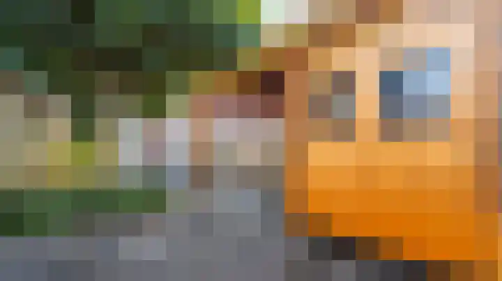 Rappersweg 55 Almelo thumbnail 35