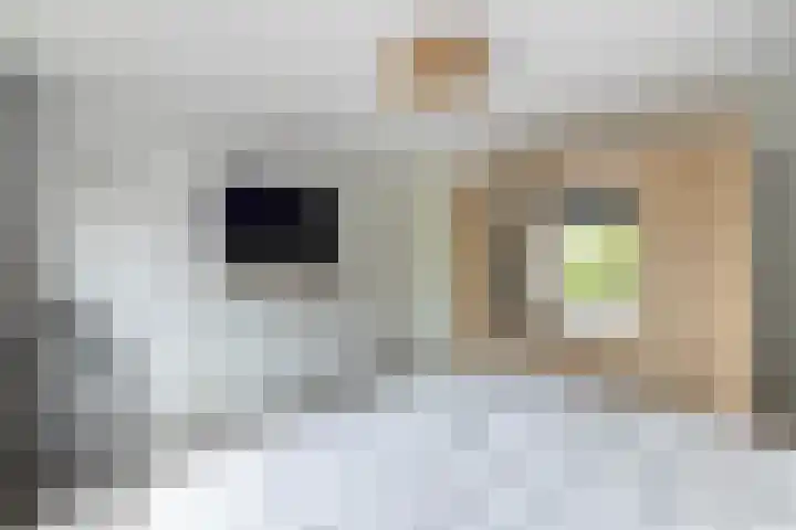 Rappersweg 61 Almelo thumbnail 13
