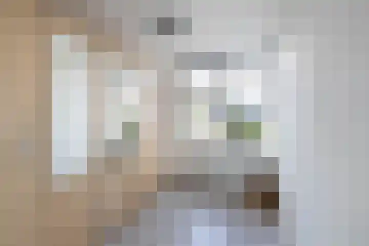 Rappersweg 61 Almelo thumbnail 16