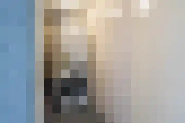 Rappersweg 61 Almelo thumbnail 20