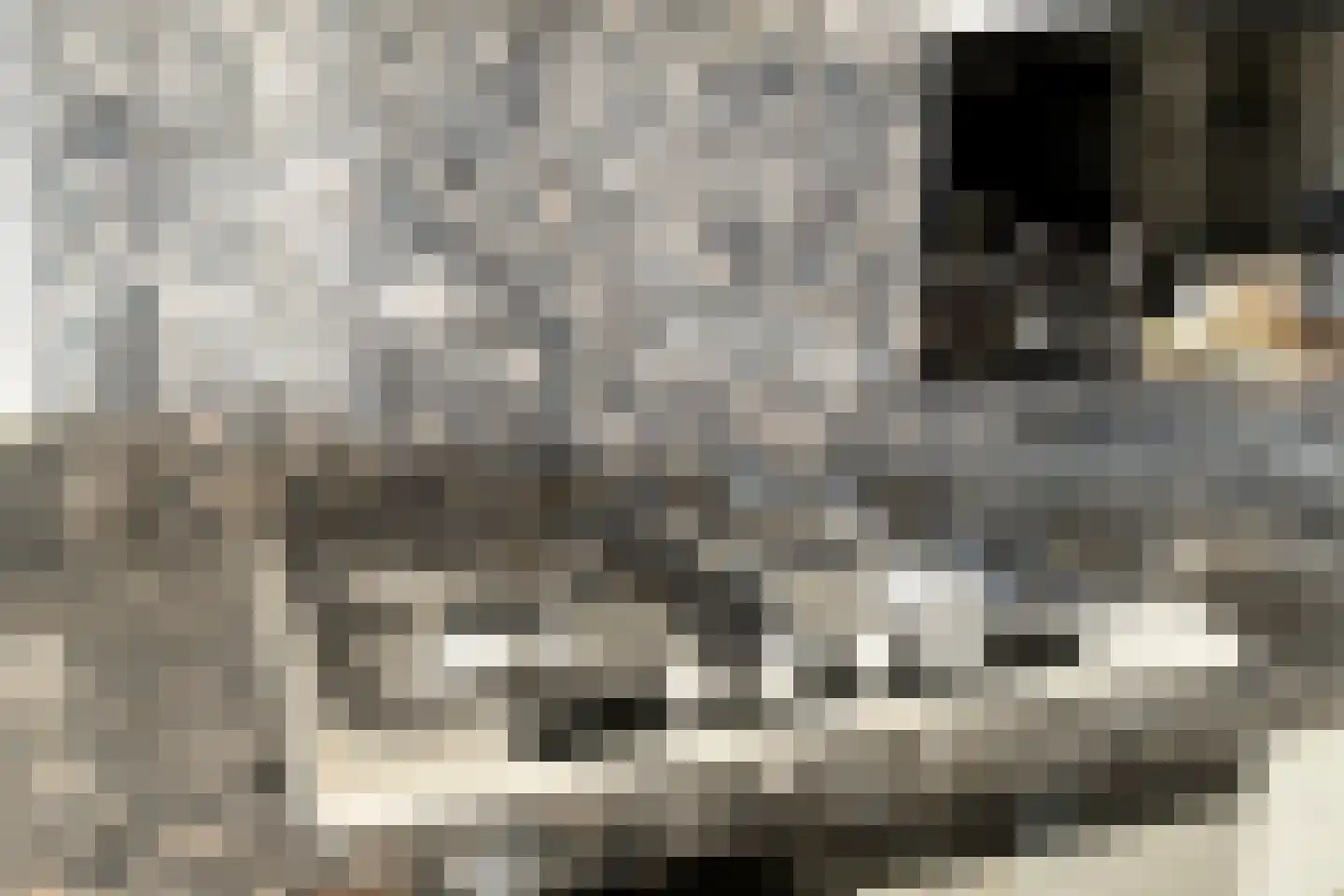 Rapportstraat 12 C Veldhoven thumbnail 10