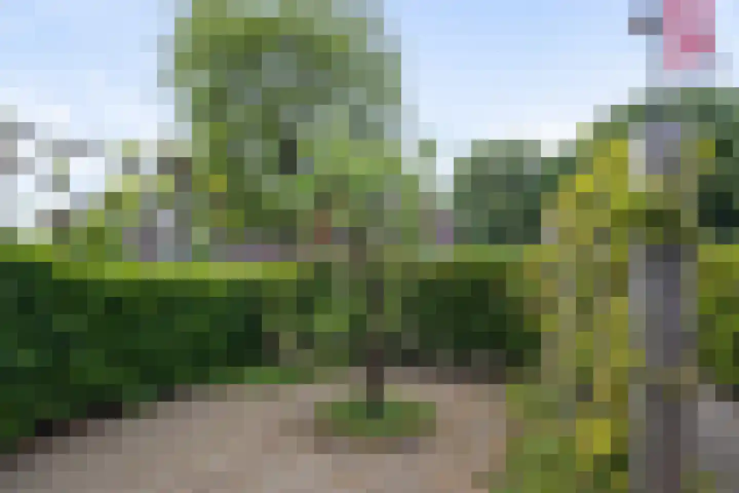 Rapportstraat 16 A Veldhoven thumbnail 24