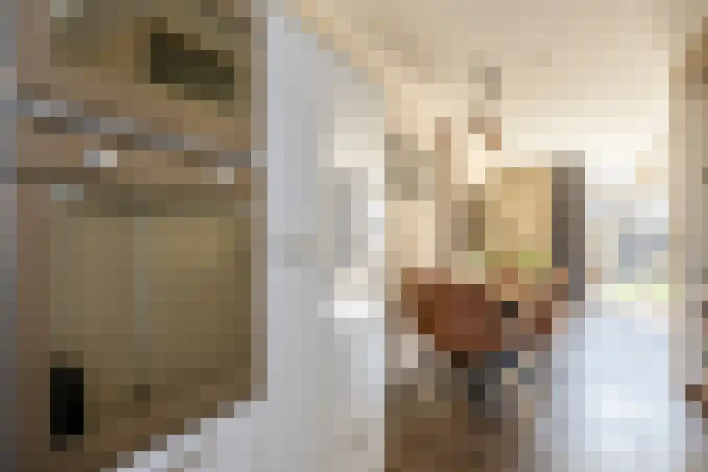 Rapsodie 3 Zaandam thumbnail 17