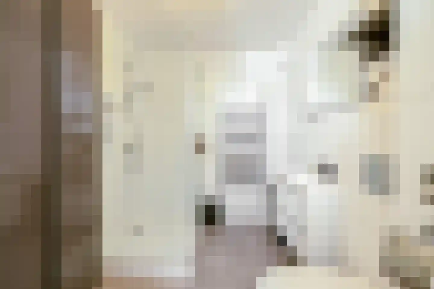 Rapsodie 3 Zaandam thumbnail 30