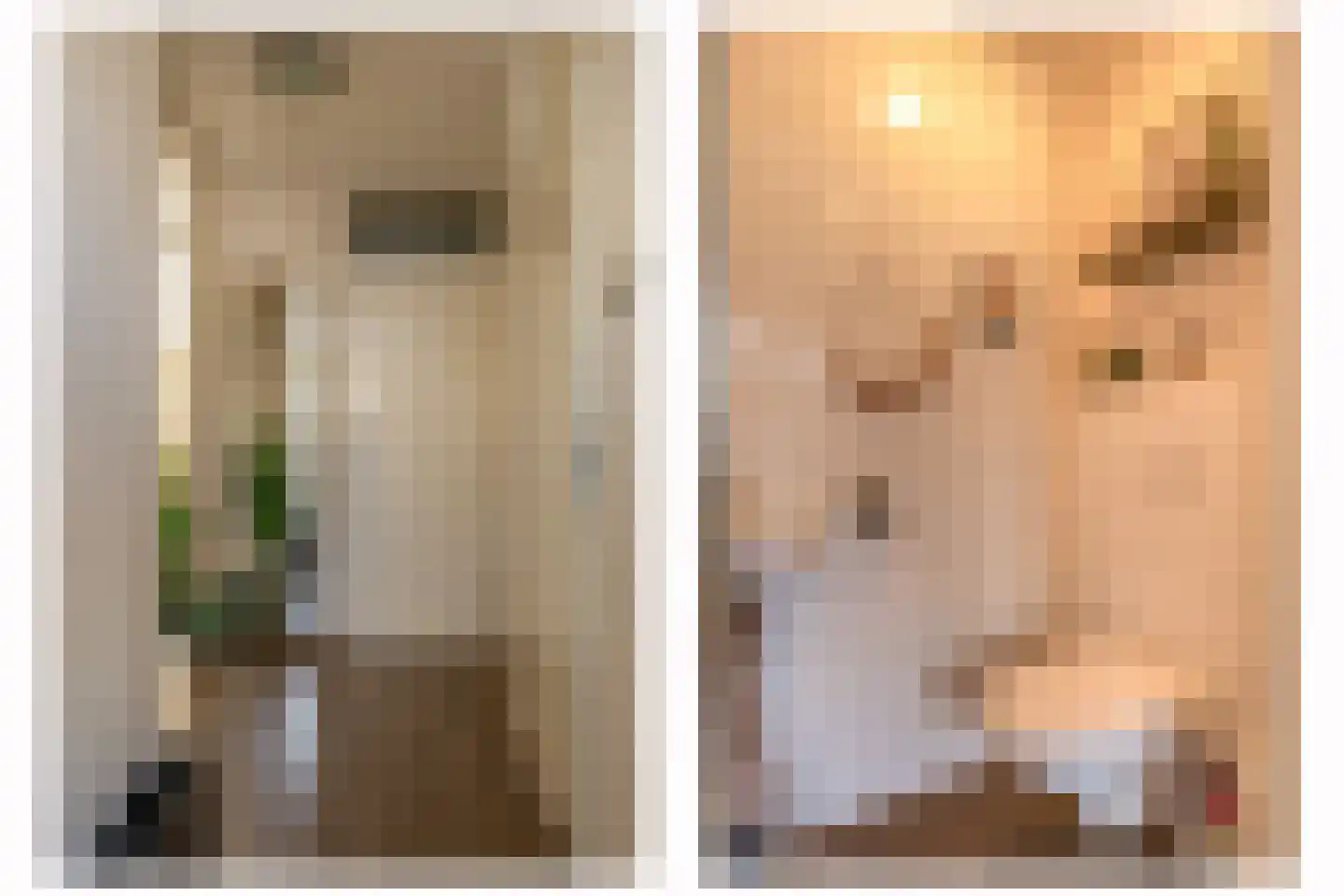Rapsodie 3 Zaandam thumbnail 6