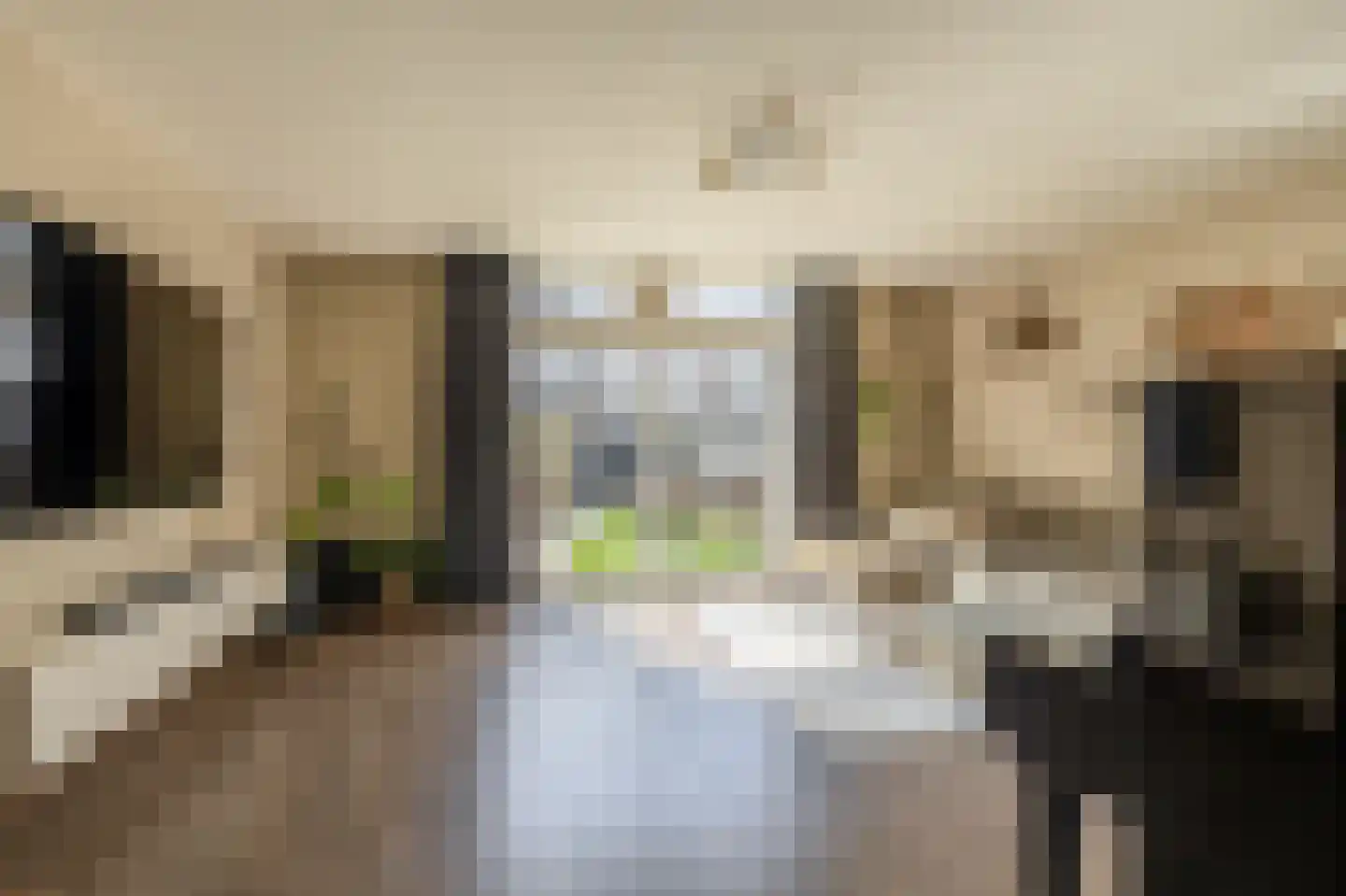 Rapsodie 3 Zaandam thumbnail 7