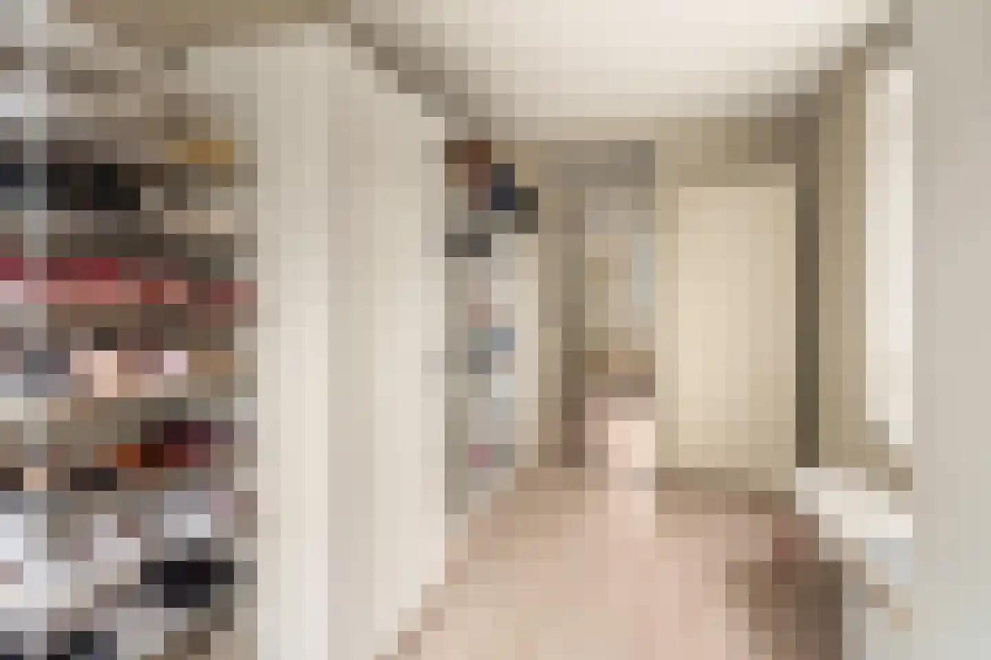 Rapsodie 57 Zaandam thumbnail 23