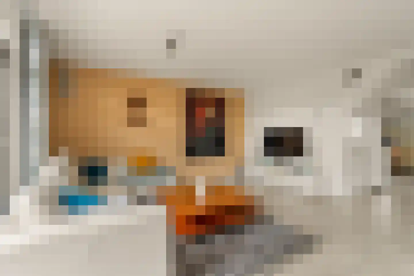 Rapsodie 57 Zaandam thumbnail 7