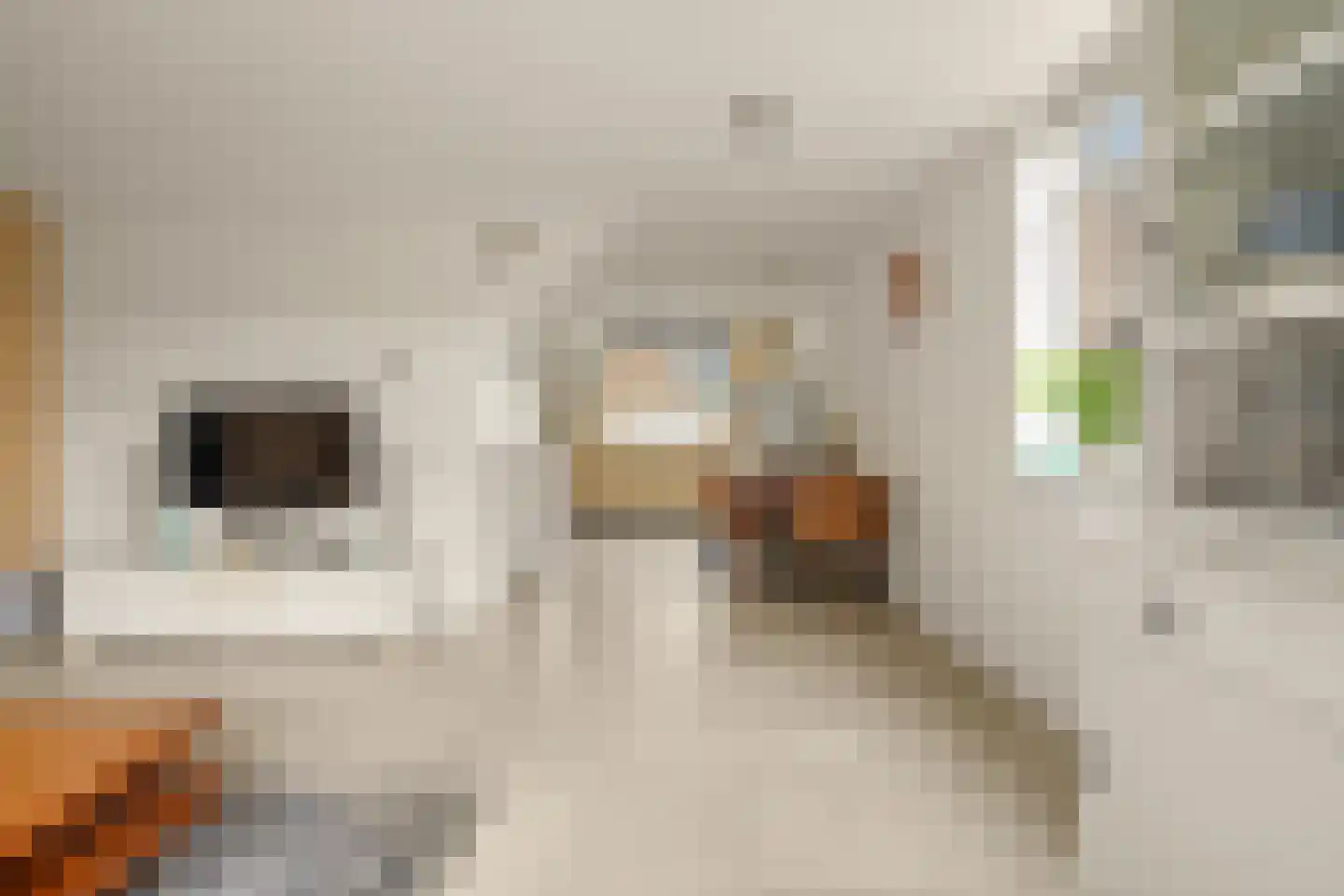 Rapsodie 57 Zaandam thumbnail 8