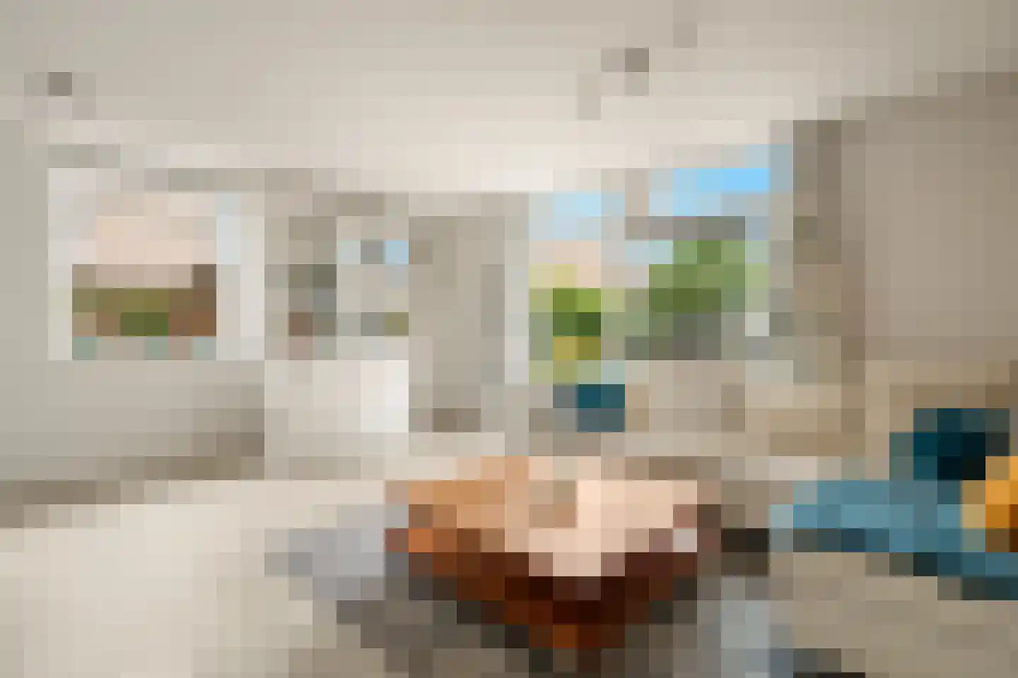 Rapsodie 57 Zaandam thumbnail 9
