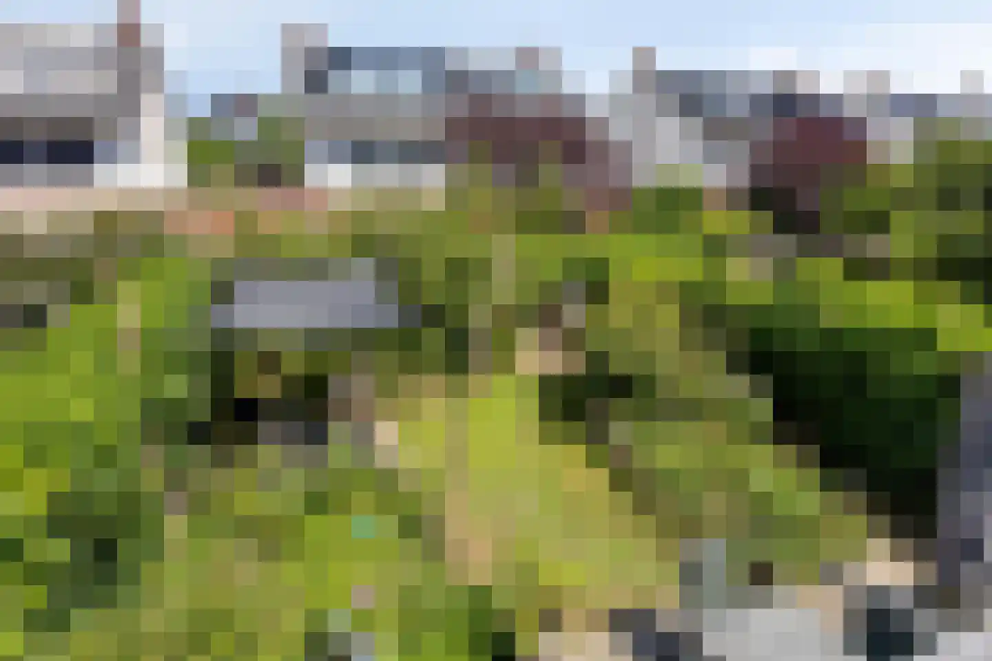 Rapsodieweg 29 Rosmalen thumbnail 28