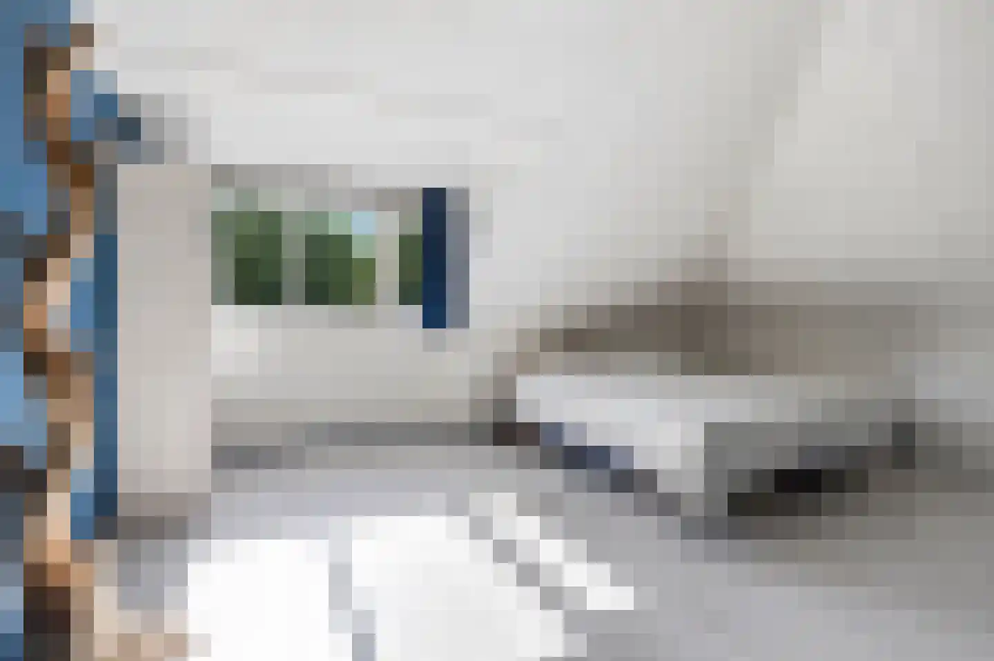 Rapsodieweg 29 Rosmalen thumbnail 30