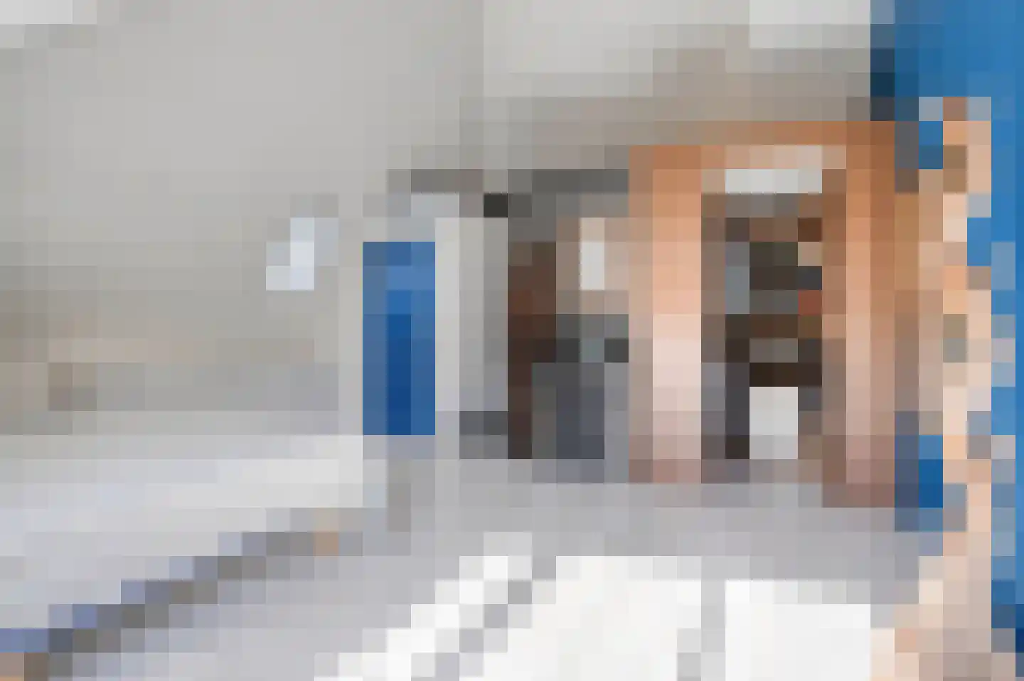 Rapsodieweg 29 Rosmalen thumbnail 31