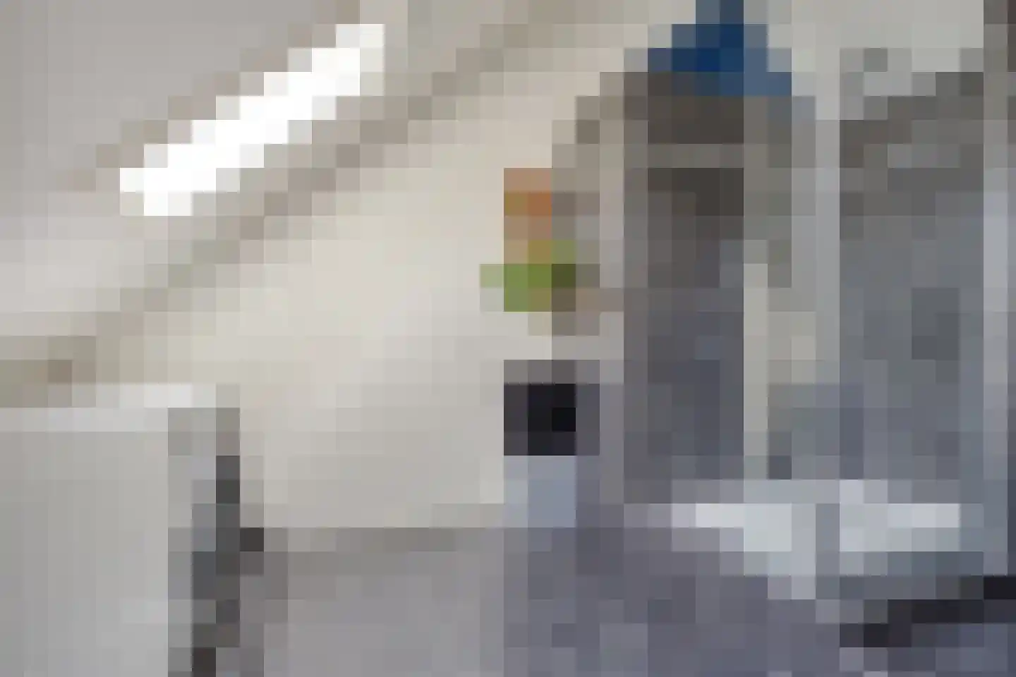 Rapsodieweg 29 Rosmalen thumbnail 33