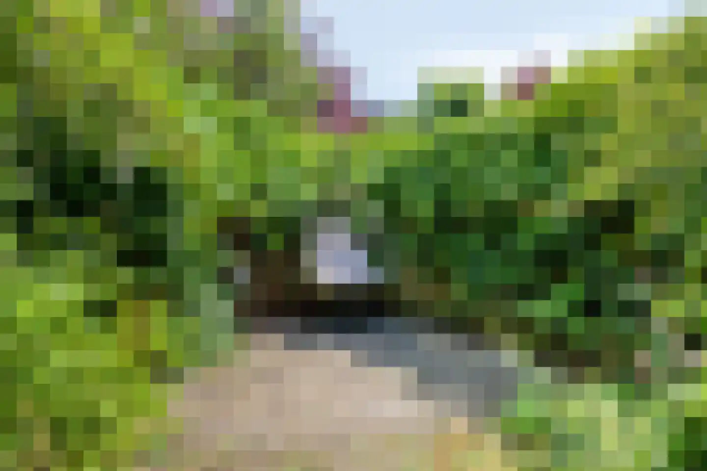 Rapsodieweg 29 Rosmalen thumbnail 38