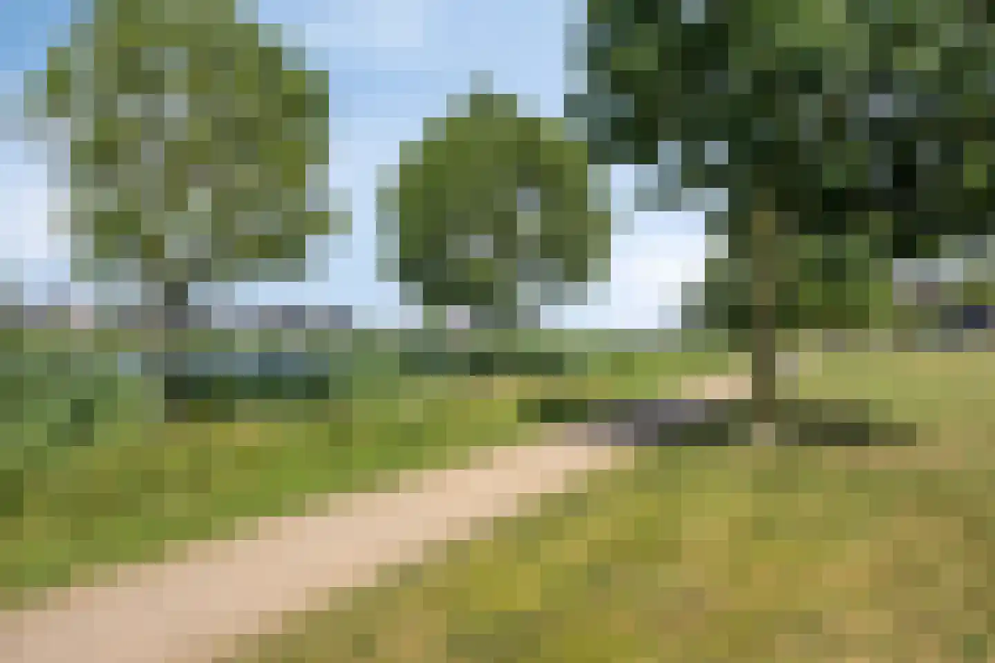 Rapsodieweg 29 Rosmalen thumbnail 50