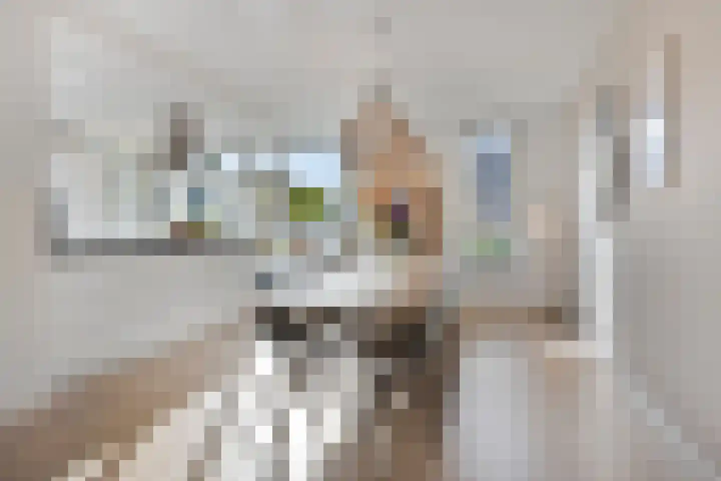 Rapsodieweg 51 Rosmalen thumbnail 11