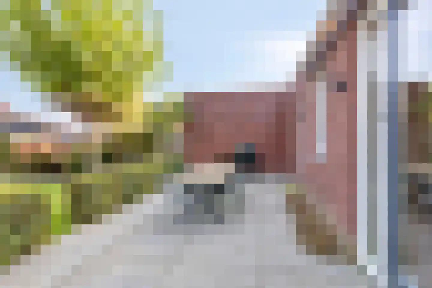 Rapsodieweg 51 Rosmalen thumbnail 19