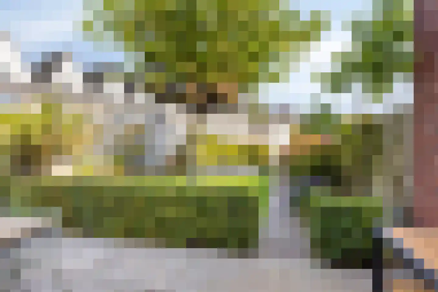 Rapsodieweg 51 Rosmalen thumbnail 20