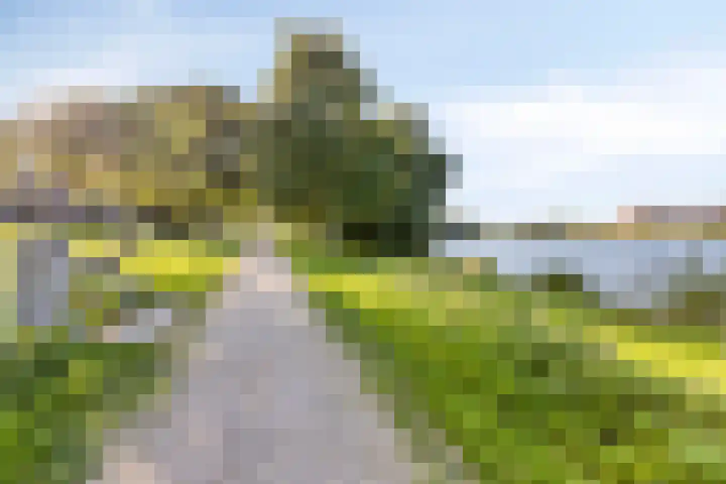 Rapsodieweg 51 Rosmalen thumbnail 44