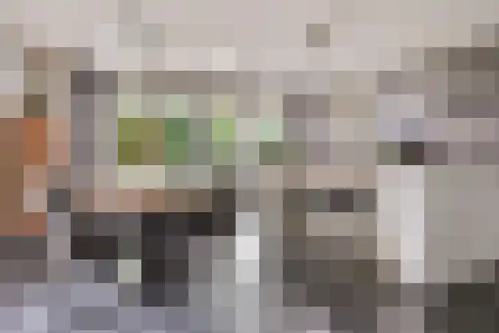 Rapsodieweg 7 Rosmalen thumbnail 10