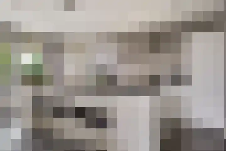 Rapsodieweg 7 Rosmalen thumbnail 12