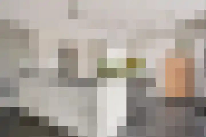 Rapsodieweg 7 Rosmalen thumbnail 13