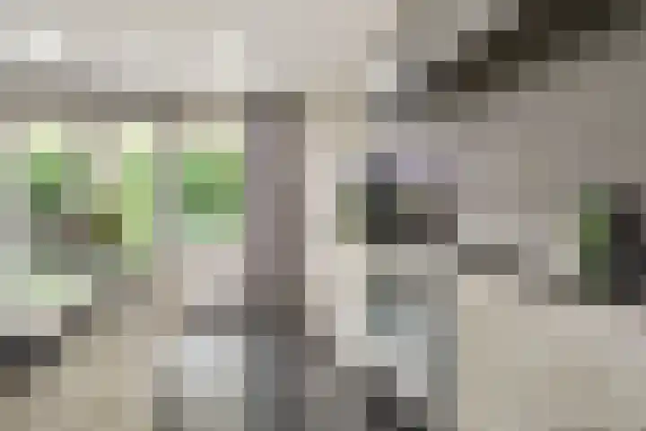 Rapsodieweg 7 Rosmalen thumbnail 14