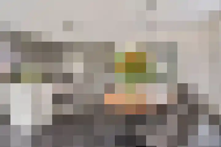 Rapsodieweg 7 Rosmalen thumbnail 15
