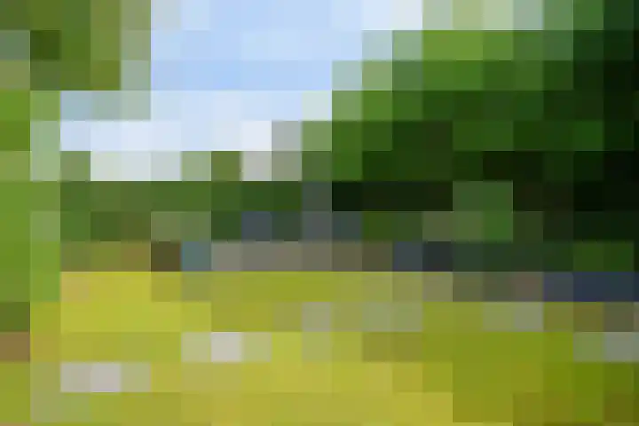 Rapsodieweg 7 Rosmalen thumbnail 20