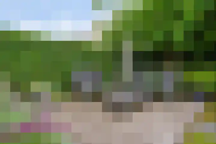 Rapsodieweg 7 Rosmalen thumbnail 21