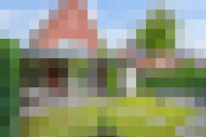 Rapsodieweg 7 Rosmalen thumbnail 23