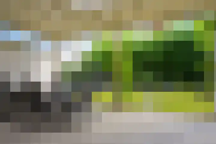 Rapsodieweg 7 Rosmalen thumbnail 25