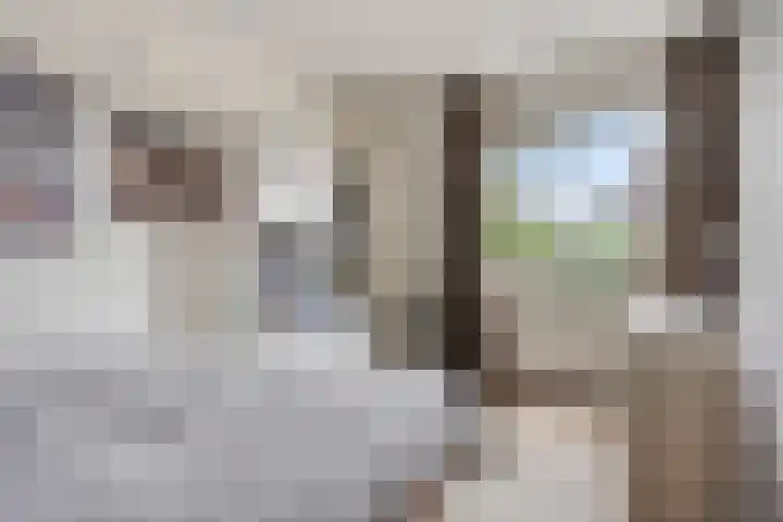 Rapsodieweg 7 Rosmalen thumbnail 34