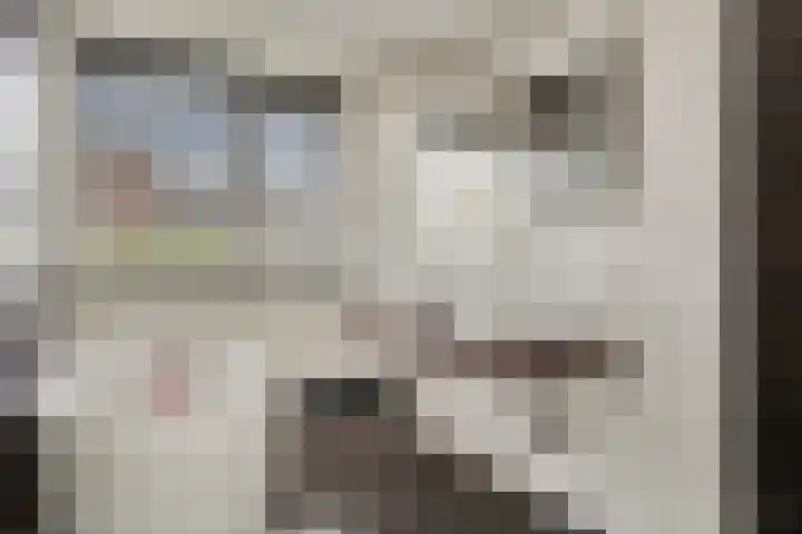 Rapsodieweg 7 Rosmalen thumbnail 36