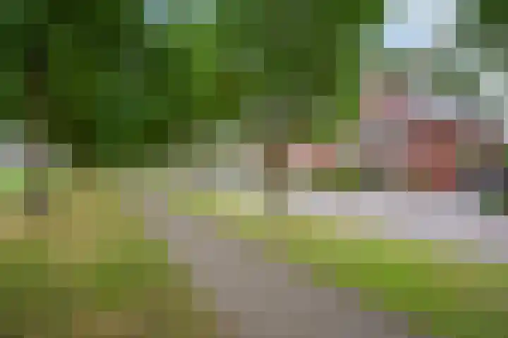 Rapsodieweg 7 Rosmalen thumbnail 49