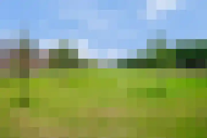 Rapsodieweg 7 Rosmalen thumbnail 50