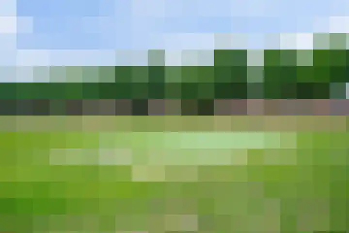 Rapsodieweg 7 Rosmalen thumbnail 51