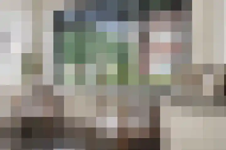 Rapsodieweg 7 Rosmalen thumbnail 8