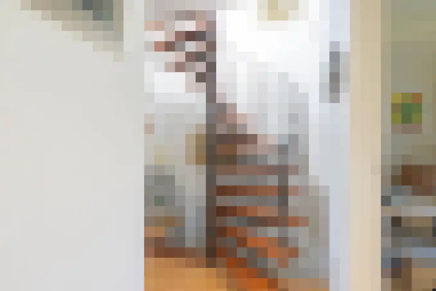 Rarenderstraat 39 Vaals thumbnail 17