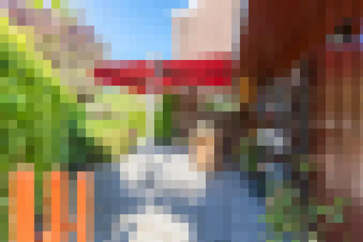 Rarenderstraat 39 Vaals thumbnail 27