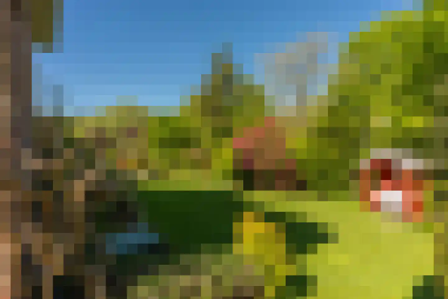 Rarenderstraat 39 Vaals thumbnail 31