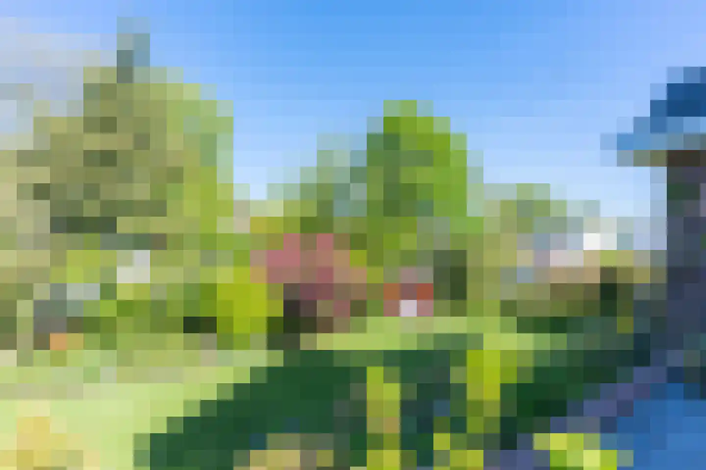 Rarenderstraat 39 Vaals thumbnail 32
