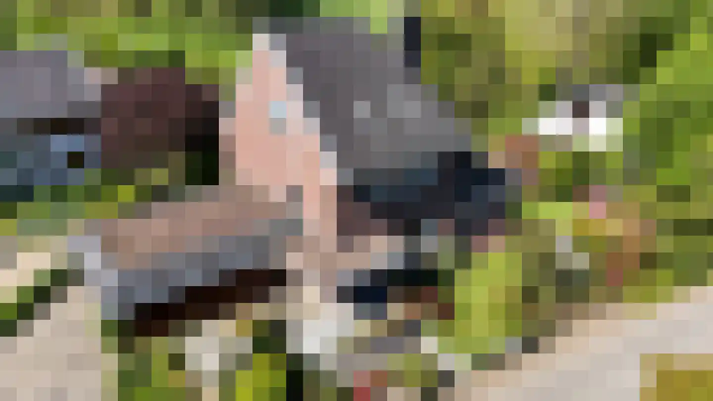 Rarenderstraat 39 Vaals thumbnail 38